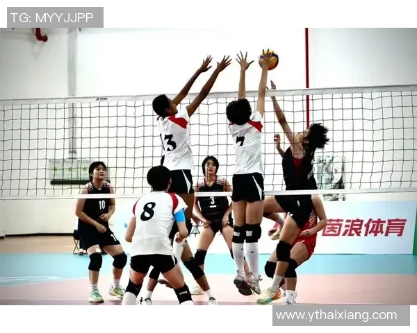 上海排球队的默契配合与战术探讨：聚焦排球的团队精神与协作技巧